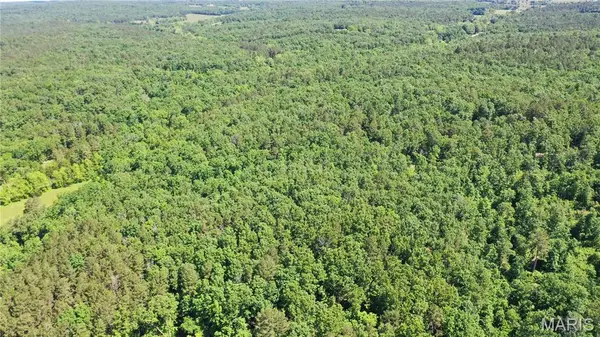 1394 (parcel C) County Road 6580, Salem, MO 65560