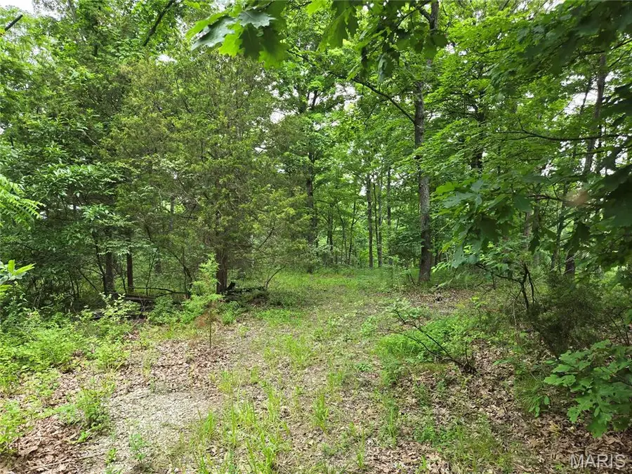 0 Mark Peterson Drive, Wright City, MO 63390 - Image #2