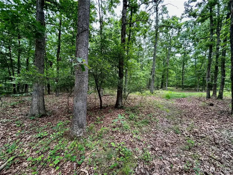 0 County Road 5500, Salem, MO 65560 - Image #3