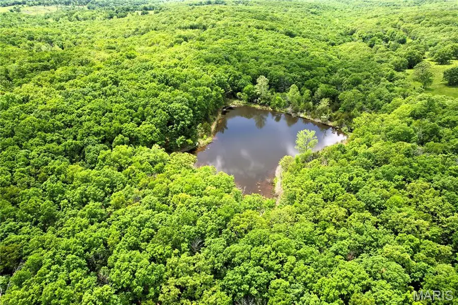 12725 Highway 17, Crocker, MO 65452 - Image #3