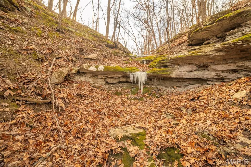 00 Collins R Collins Rd, Bellflower, MO 63333 - Image #1