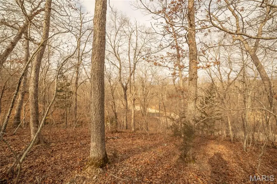 00 Collins R Collins Rd, Bellflower, MO 63333 - Image #3