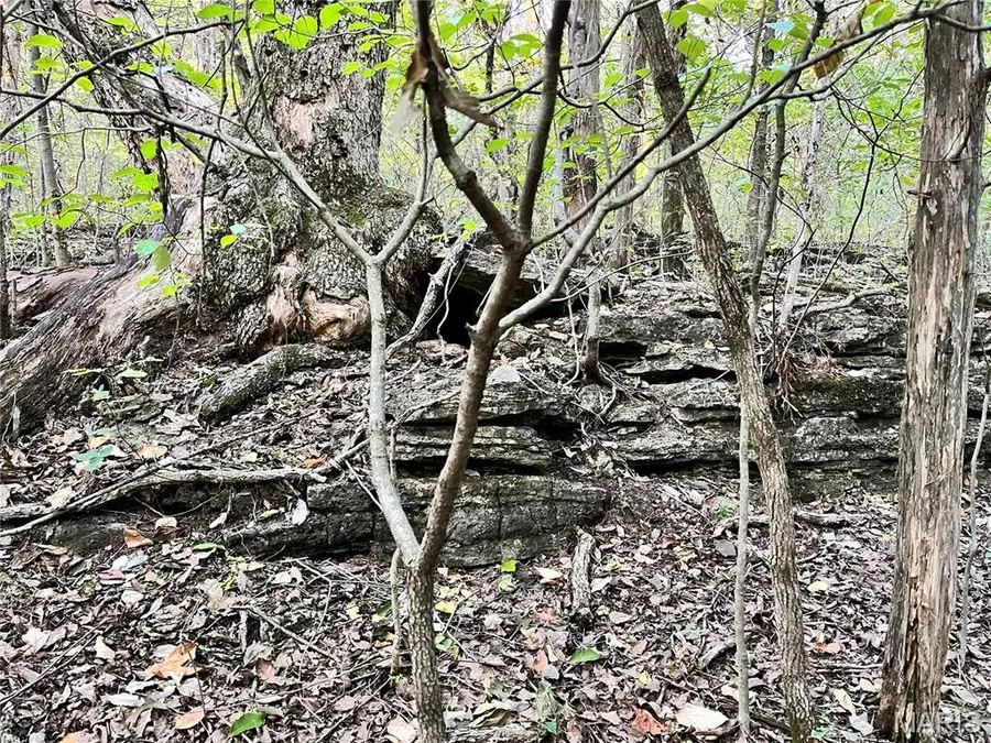 219 Fawn Drive, Union, MO 63084 - Image #3