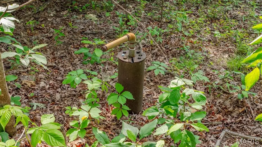 000 Cr 862, Jackson, MO 63633 - Image #3