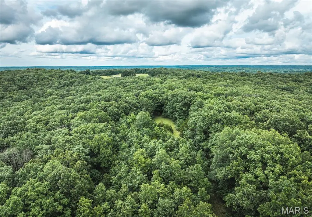 4117 Baumbach Road, Brush Creek, MO 65453 - Image #1