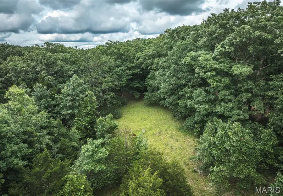 4117 Baumbach Road, Brush Creek, MO 65453 - Image #2