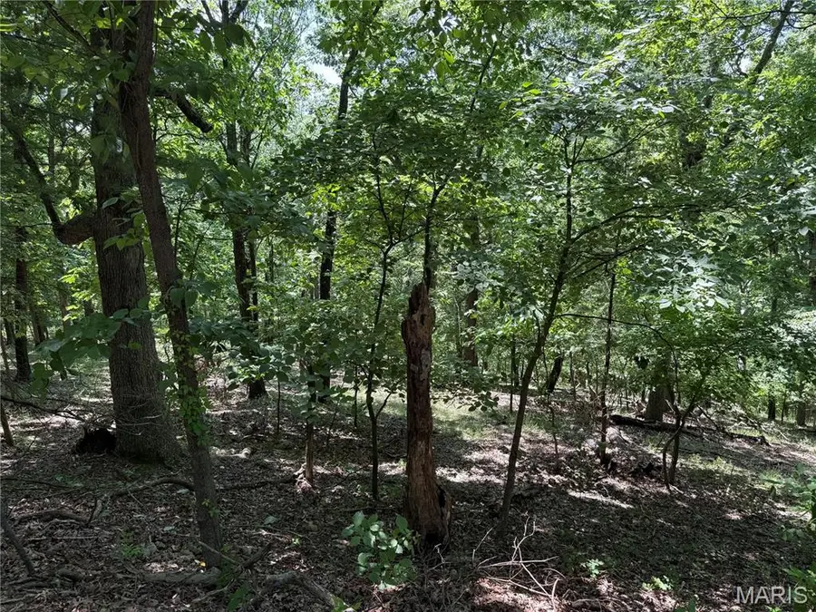 1361 Bear Canyon Road, Wildwood, MO 63021 - Image #2