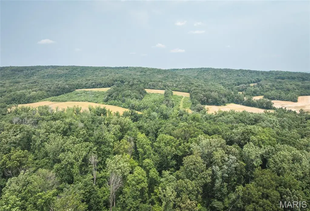 3485 Coyle Lane, Equality, IL 62934 - Image #1