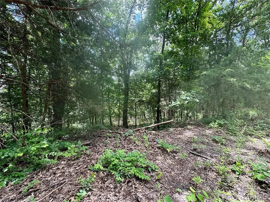 TBD Bluebird Lane, Rolla, MO 65401 - Image #3