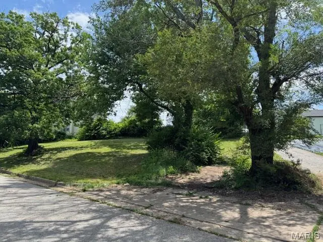 7082 Oleatha, Saint Louis, MO 63110 - Image #3