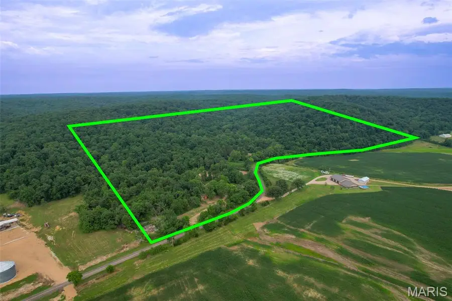 21202 State Highway Mm, Filmore, MO 63751 - Image #3