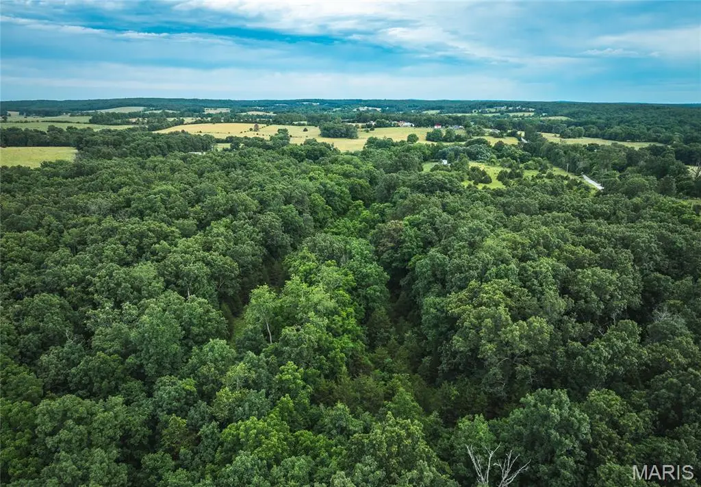 000 Highway Cc, Licking, MO 65542 - Image #1