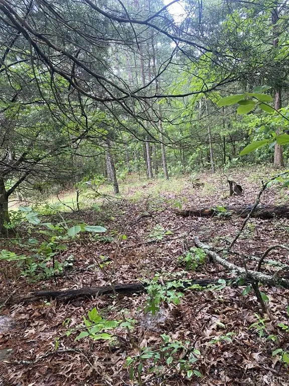 0 Susan Dr, Ste Genevieve, MO 63670 - Image #1