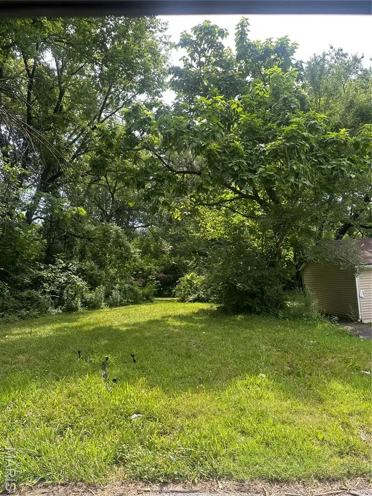 10132 Earl Drive, Castle Point, MO 63136 - Image #1