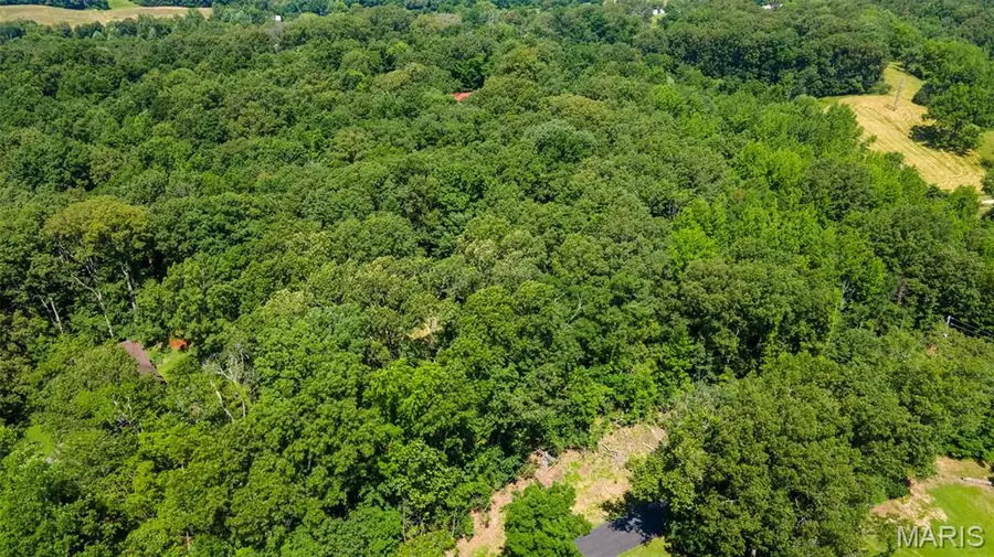 Lots B-63&65 Bella Vista Dr, Jackson, MO 63755 - Image #2