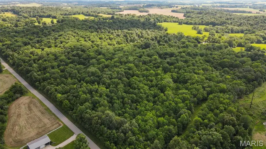 0 County Road 442, Jackson, MO 63755 - Image #3
