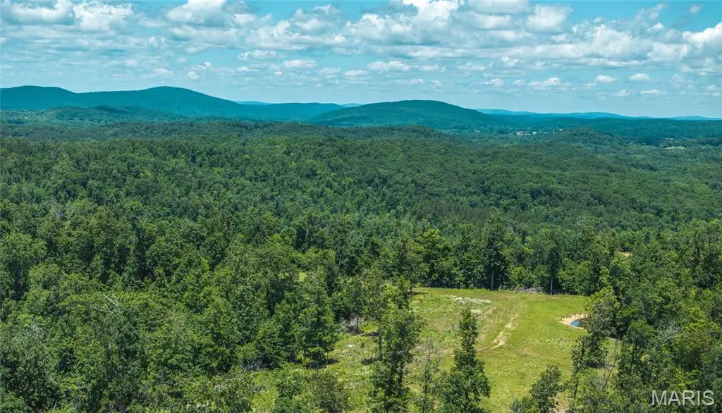 000 Wayne 380, Patterson, MO 63956 - Image #1