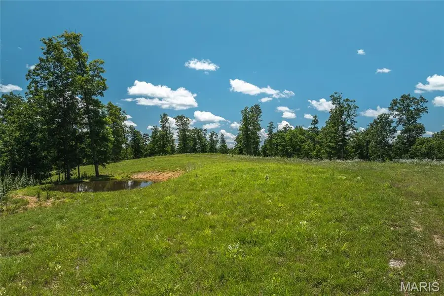 000 Wayne 380, Patterson, MO 63956 - Image #2