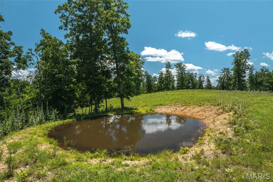 000 Wayne 380, Patterson, MO 63956 - Image #3