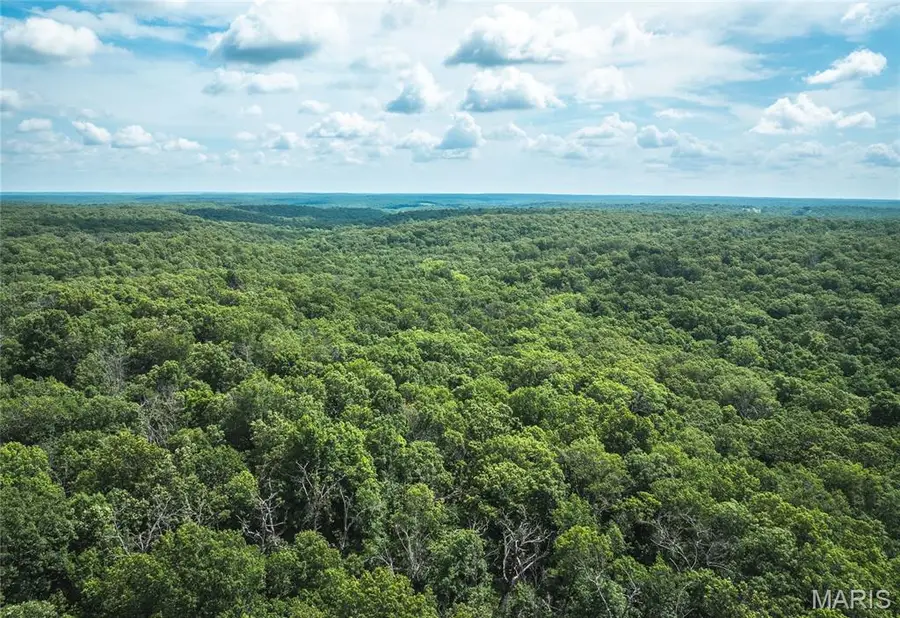 TBD Geronimo Springs Road-tract 2, Macks Creek, MO 65782 - Image #2