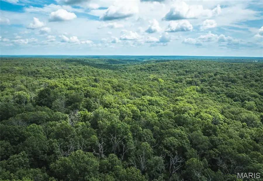 TBD Geronimo Springs Road-tract 2, Macks Creek, MO 65782 - Image #3