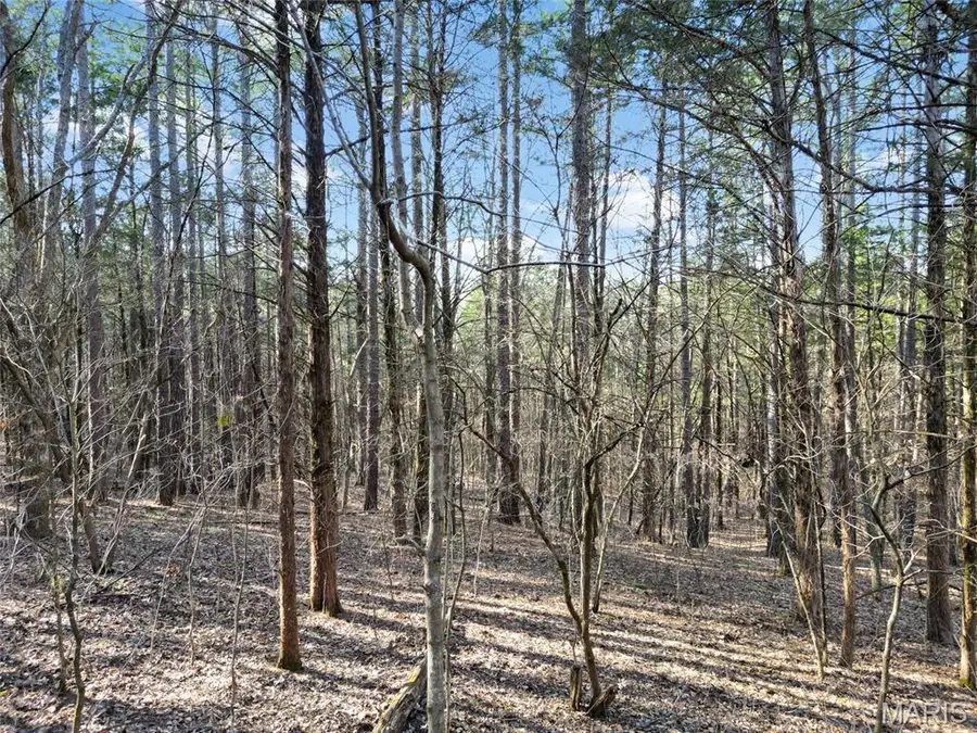 Lot 3 Parkview Dr., Blackwell, MO 63626 - Image #2