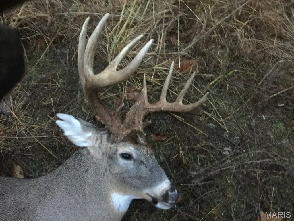 00 S Denton Road, Pacific, MO 63069 - Image #1