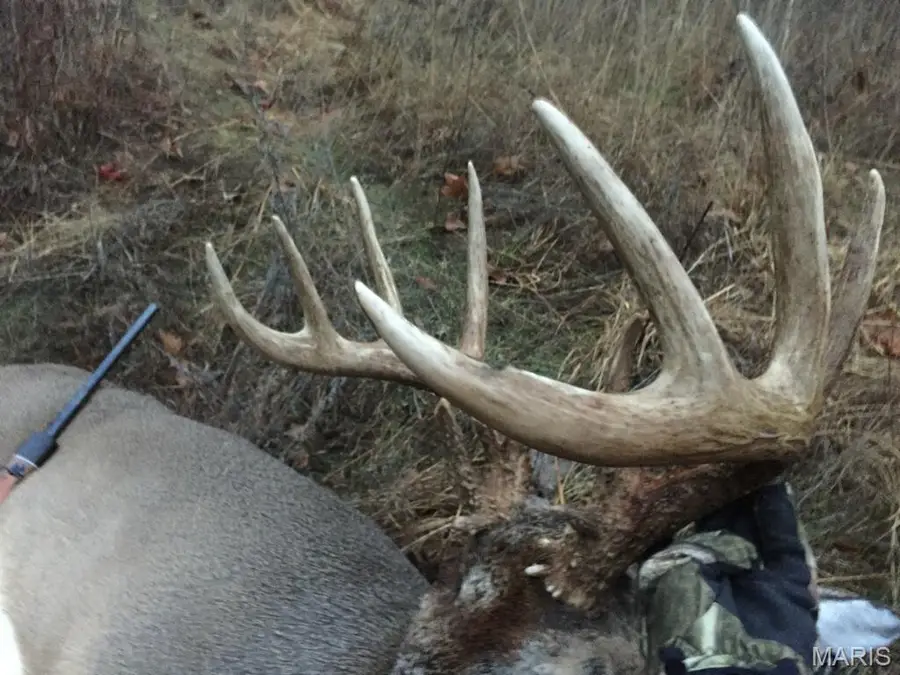 00 S Denton Road, Pacific, MO 63069 - Image #2