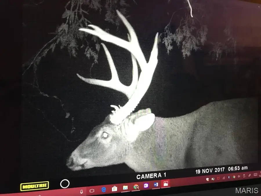 00 S Denton Road, Pacific, MO 63069 - Image #3