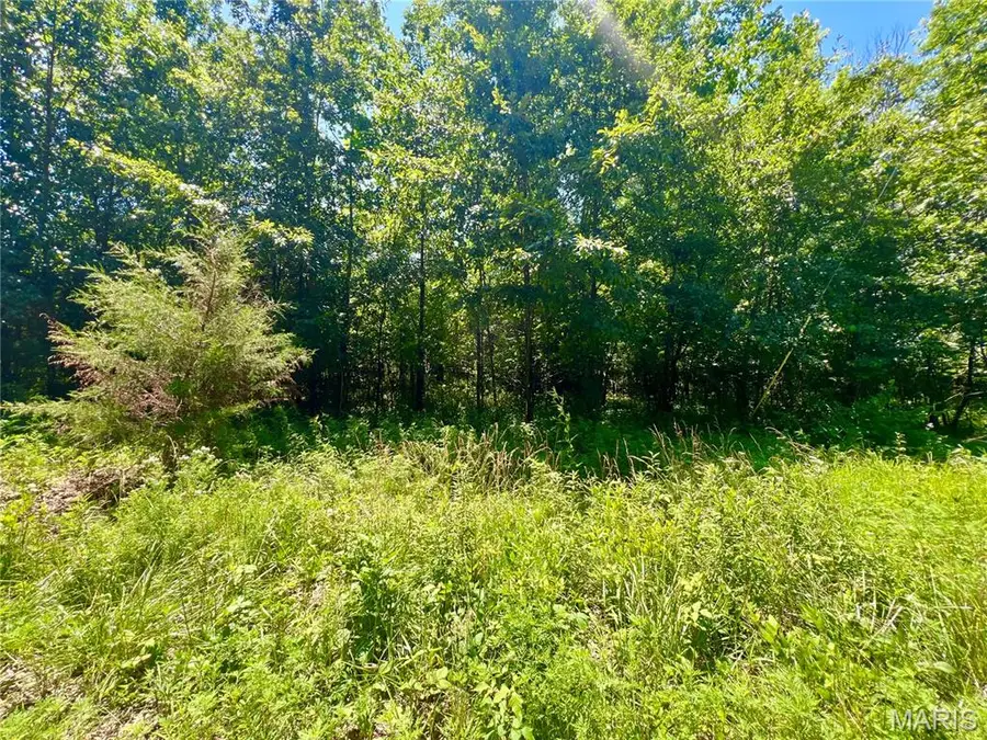 14.57 Acres Red Oak Road, Bear Creek, MO 63350 - Image #2