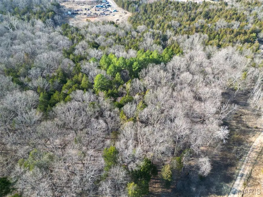 Lot 5 Parkview Dr., Blackwell, MO 63626 - Image #3