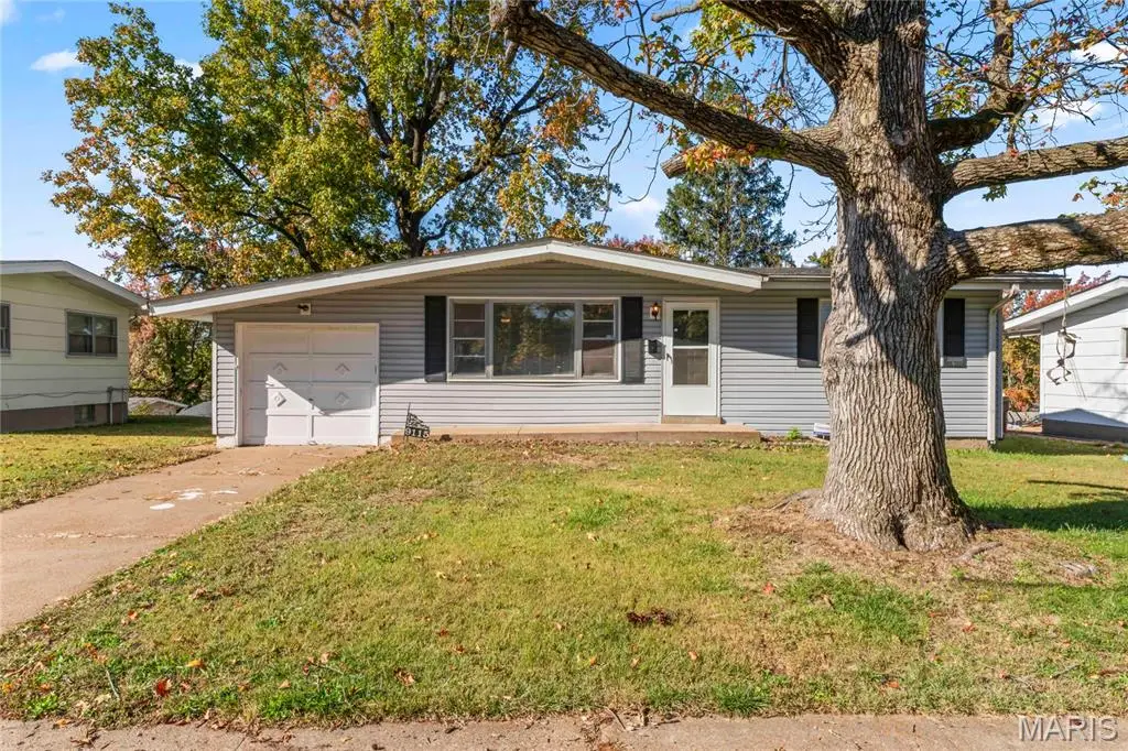 9115 Clarion Drive, Saint Louis, MO 63136 - Image #1