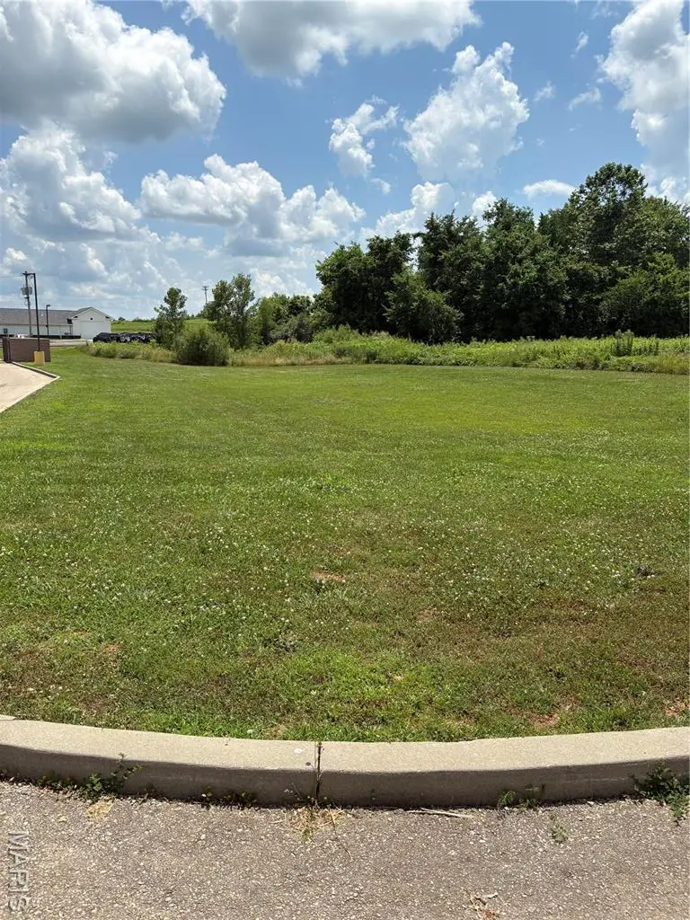 1261 W Main Street, Fredericktown, MO 63645 - Image #2