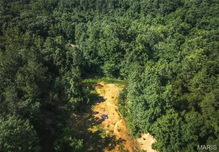 539 County Road 69a, Black, MO 63625 - Image #2