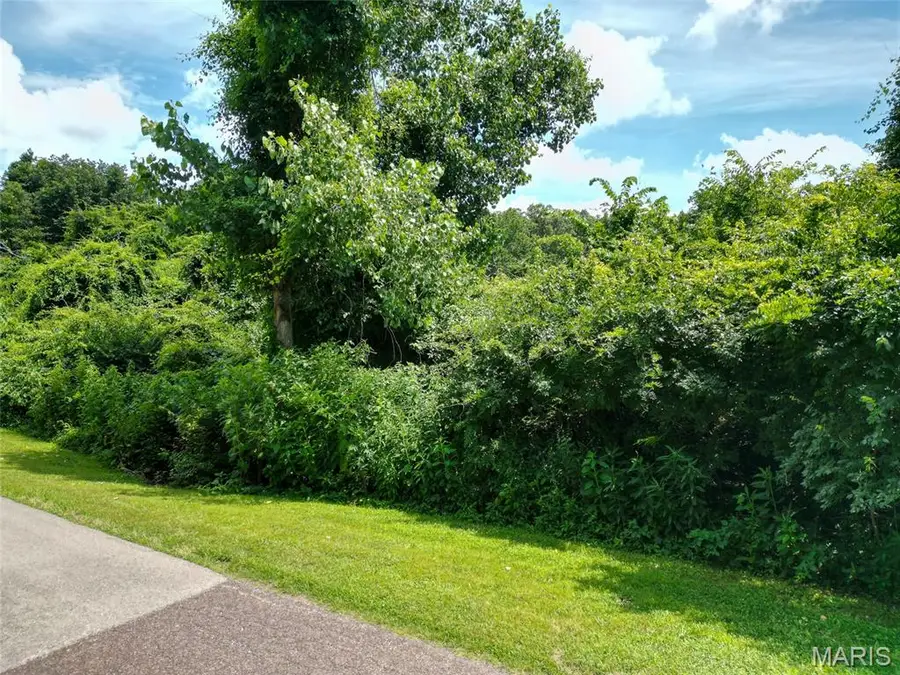 1960 Sugar Springs Road, Festus, MO 63028 - Image #2