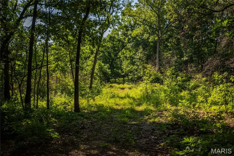 TBD Beechnut Road, Buffalo, MO 65078 - Image #3