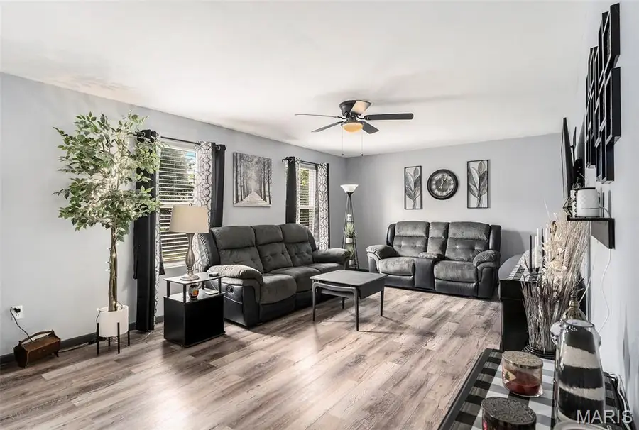 46 Meadowview Drive, Belleville, IL 62220 - Image #2