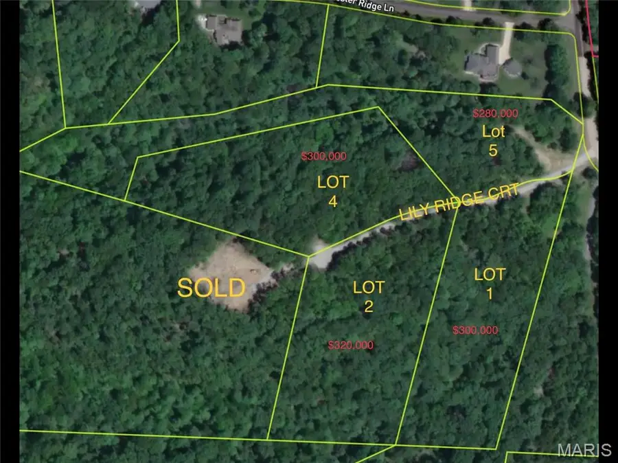 5011 Lily Ridge, Defiance, MO 63341 - Image #2