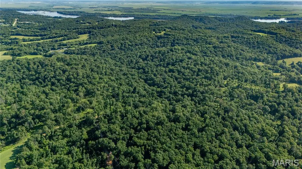 0 Old 79 Highway T, New London, MO 63459 - Image #1