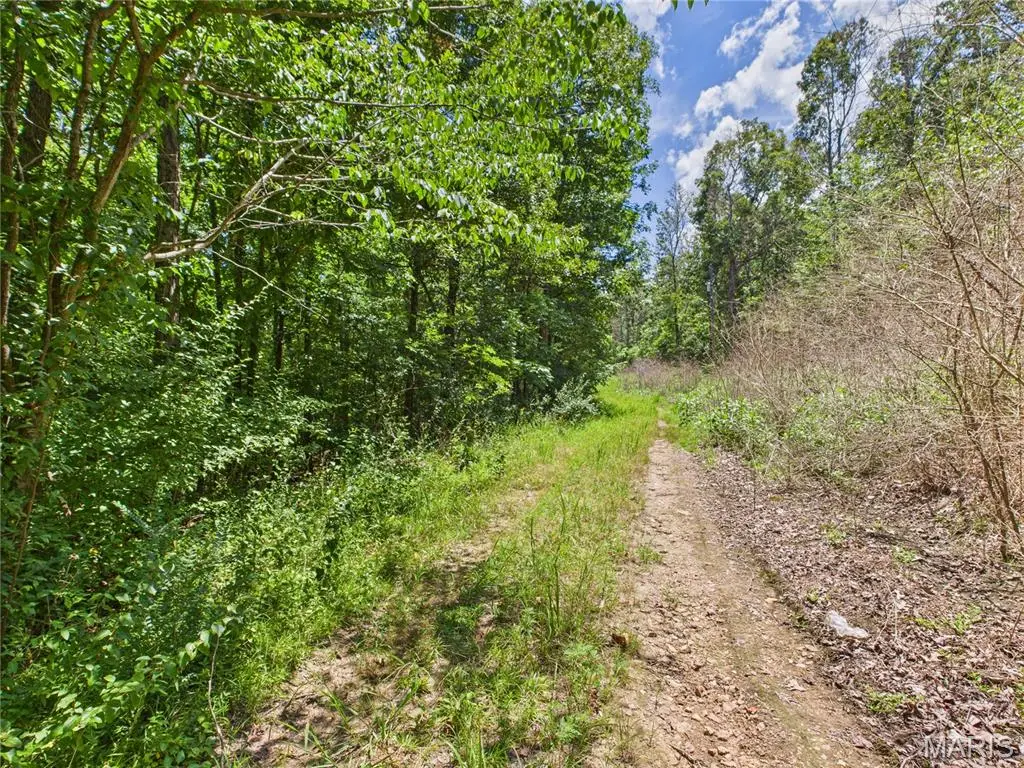 Lot 142 Crestwood Drive, Wappapello, MO 63966 - Image #1