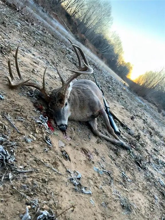 6 Cedar Hollow Road, Fletcher, MO 63030 - Image #2