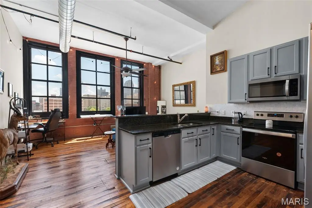 1520 Washington Avenue #R411, Saint Louis, MO 63103 - Image #1