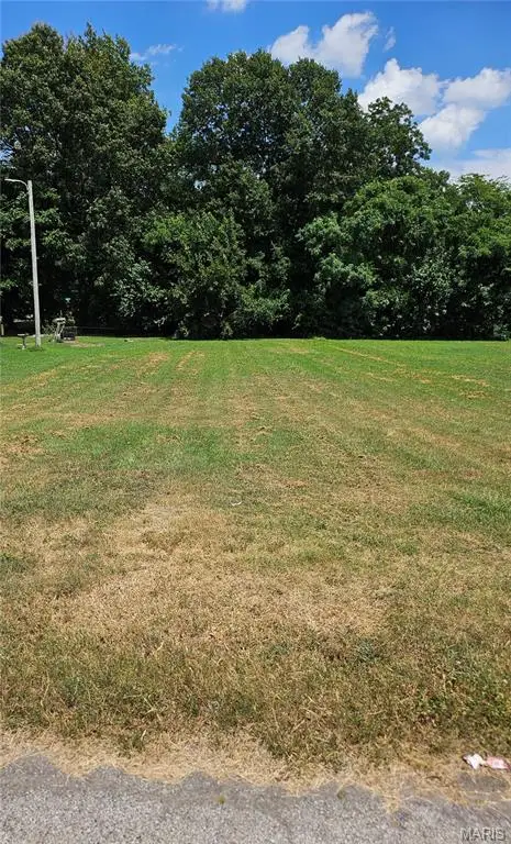 0 N Main Street, Kennett, MO 63857 - Image #1