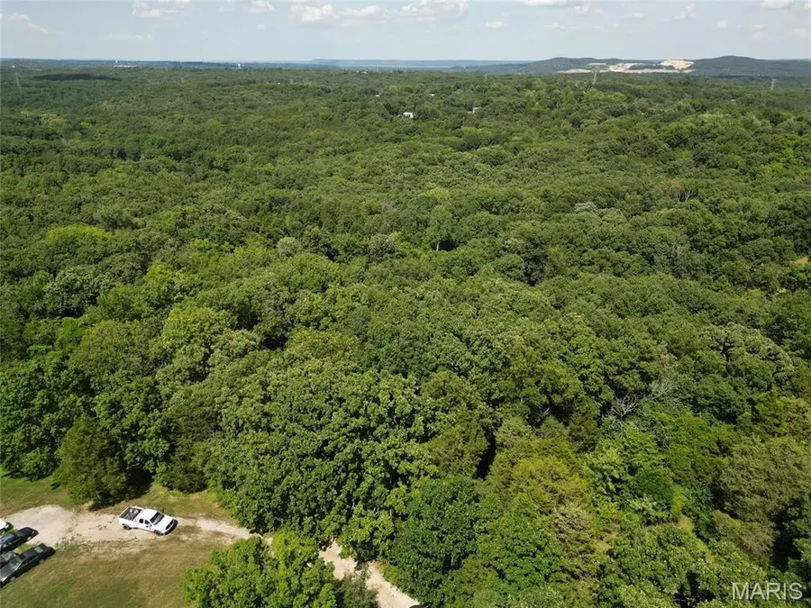 12348 Frederick Court, Festus, MO 63028 - Image #2