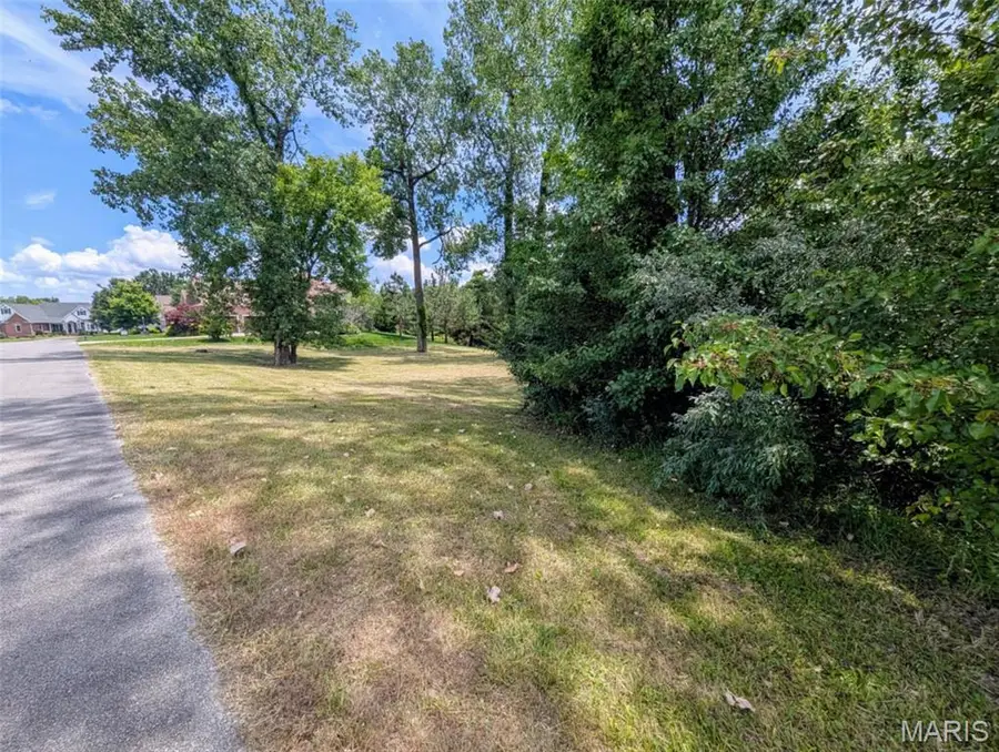 69 David Livingstone Drive, Carterville, IL 62918 - Image #3