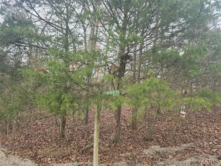 0 Fez Terrace, Rockaway Beach, MO 65740 - Image #3