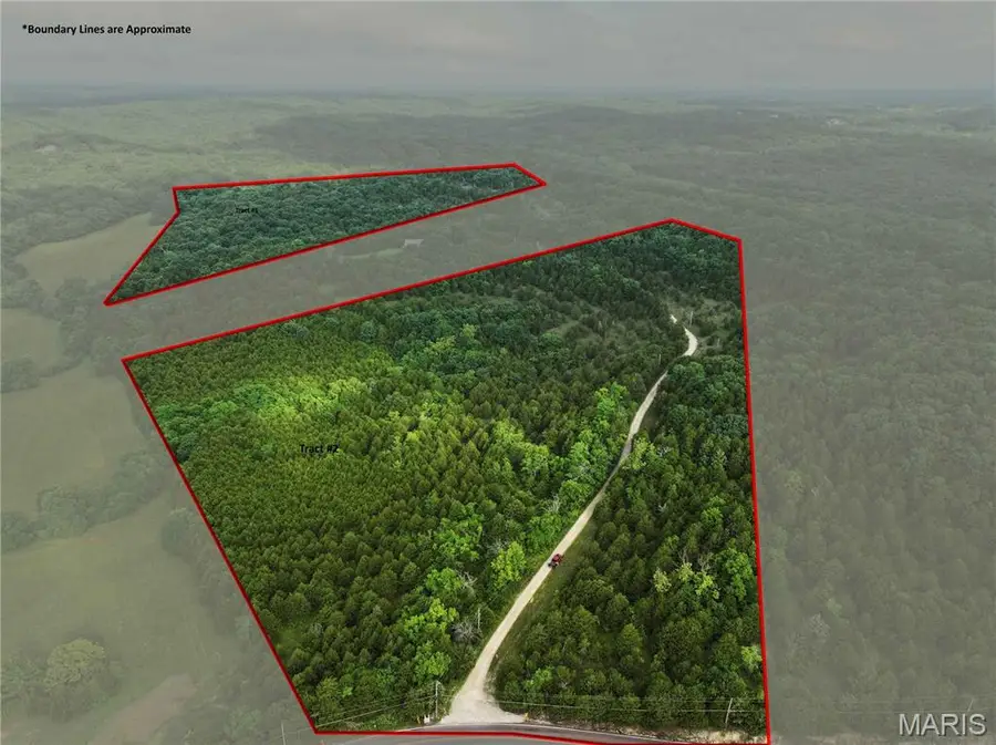 Tract 2 Plattin Road, Festus, MO 63028 - Image #2