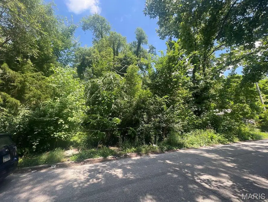 1342 N 41st Street, East Saint Louis, IL 62204 - Image #2