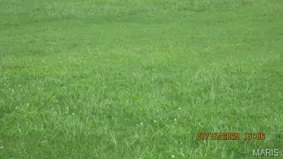 116 Hospitality Drive, Sikeston, MO 63801 - #3