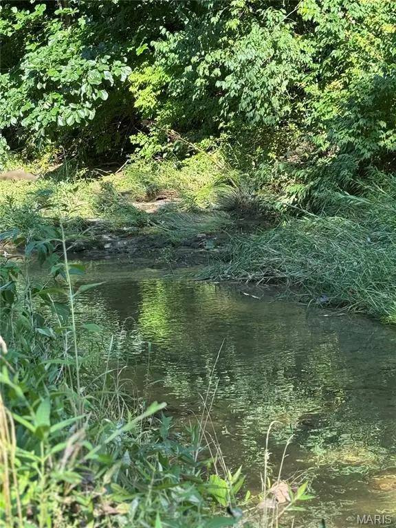 10 Big Tom Court, Hawk Point, MO 63349 - Image #3